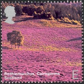 Rothiemurchus, Cairngorms