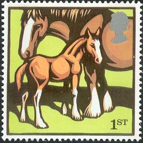 Clydesdale Mare and Foal (Equus ferus caballus)