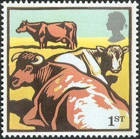 Shorthorn Cattle (Bos primigenius taurus)