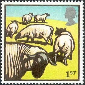 Suffolk Sheep (Ovis orientalis aries)