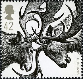Irish Elk (Megaloceros giganteus)