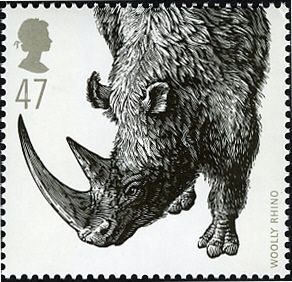 Wooly Rhinoceros (Coelodonta antiquitatis) 