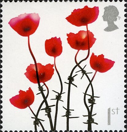Barbed Wire Poppies