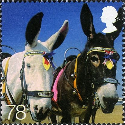 Beach Donkeys