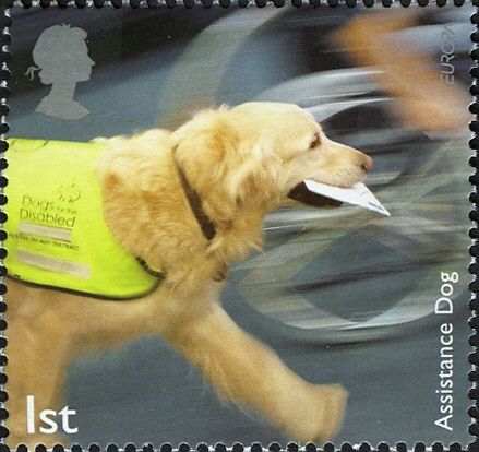 Assistance Dog
