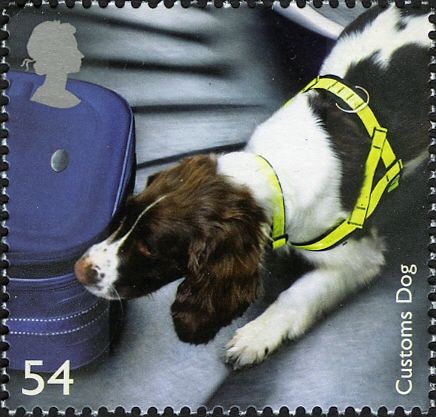 Customs Dog