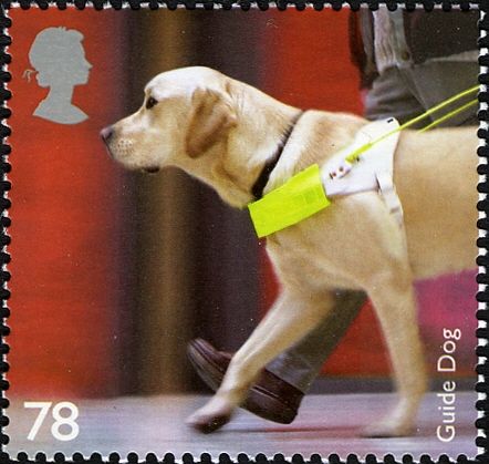 Guide Dog