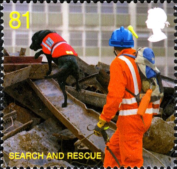 Search & Rescue