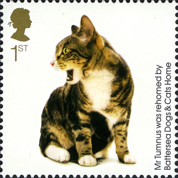 Mr Tumnus (Felis silvestris catus)