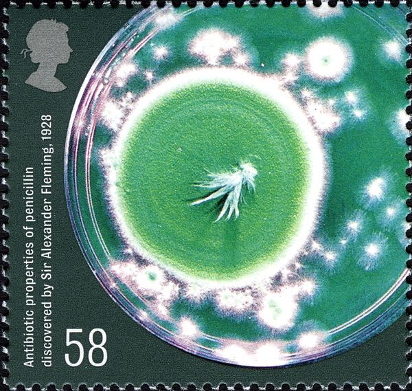 Antibiotic Penicillin