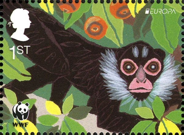 White-cheeked Spider Monkey (Ateles marginatus)