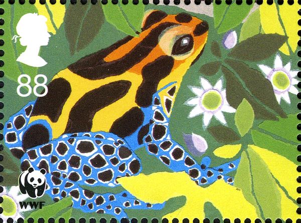 Dyeing Poison Frog (Dendrobates tinctorius)