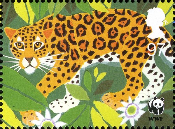 Jaguar (Panthera onca)