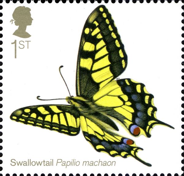 Swallowtail (Papilio machaon)