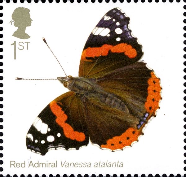 Red Admiral (Vanessa atalanta)