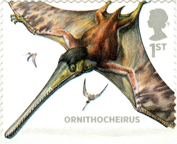 Ornithocheirus