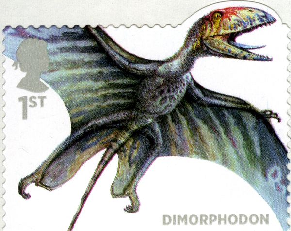 Dimorphodon