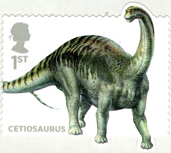 Cetiosaurus