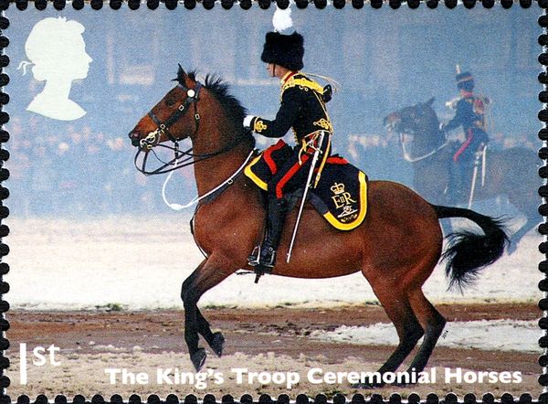 The King’s Troop Ceremonial Horses