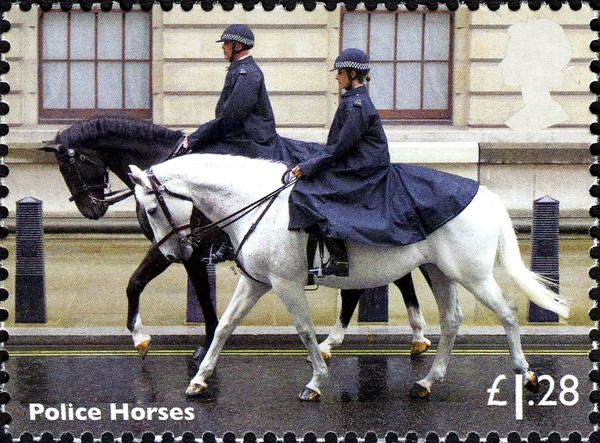 Police Horses