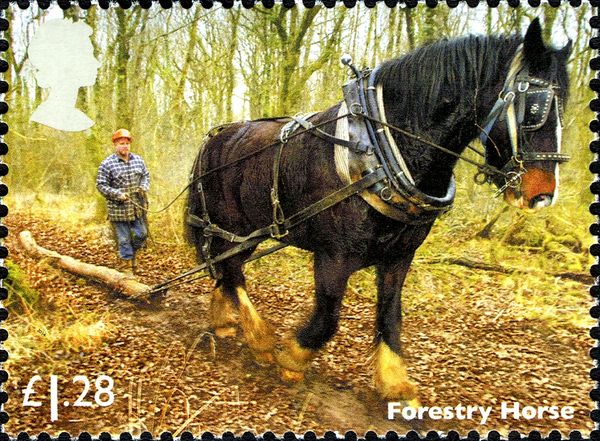 Forestry Horses