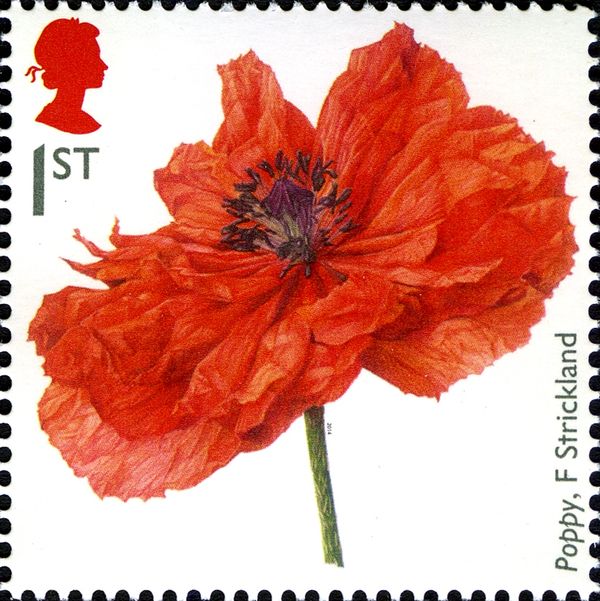 F Strickland "Poppy"