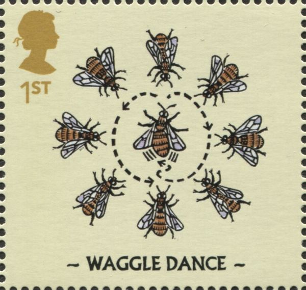 Waggle Dance