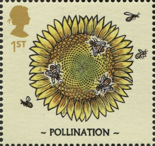 Pollination