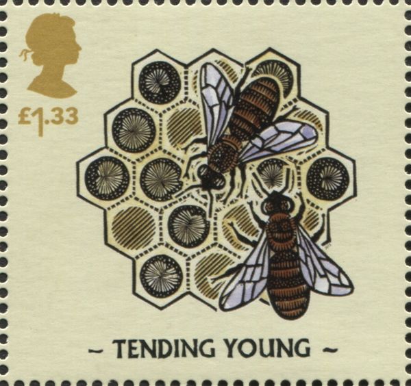 Tending Young