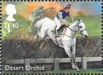 Desert Orchid