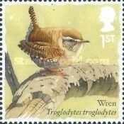Eurasian Wren (Troglodytes troglodytes)