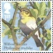 Willow Warbler (Phylloscopus trochilus)