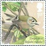 Goldcrest (Regulus regulus)