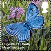 Large Blue Butterfly (Maculinea arion)