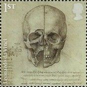 Cross Section of Skull