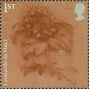 Guelder Rose