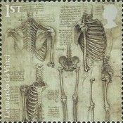 The Skeleton
