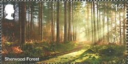 Sherwood Forest