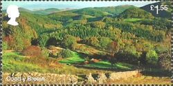 Coed y Brenin