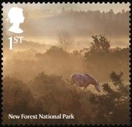 New Forest National Park