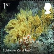 Cold Water Coral Reef