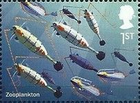 Zooplankton