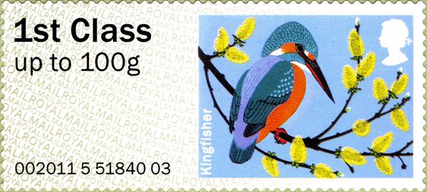 Common Kingfisher (Alcedo atthis)