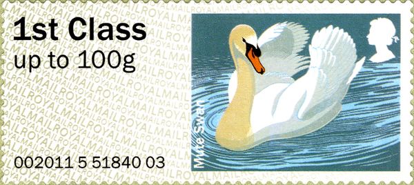 Mute Swan (Cygnus olor)