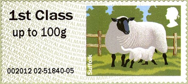 Suffolk Sheep (Ovis orientalis aries)