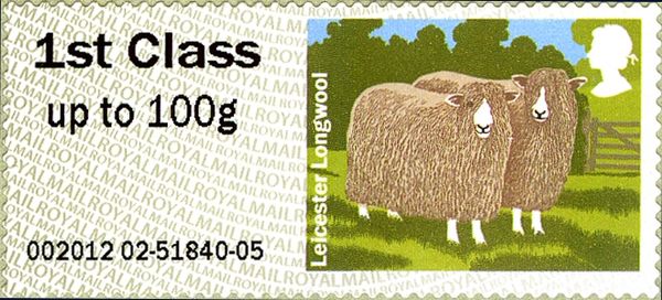 Leicester Longwool Sheep (Ovis ammon aries)