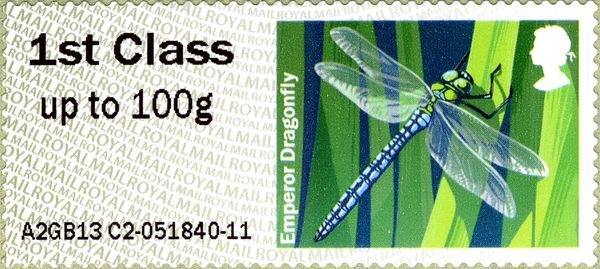 Emperor Dragonfly (Anax imperator)