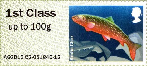 Arctic Char (Savelinus alpinus)