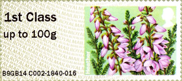Heather (Erica vulgaris)