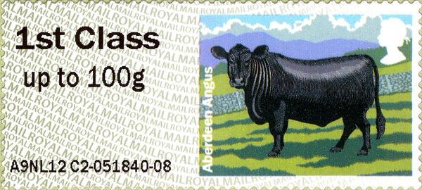 Aberdeen Angus (Bos primigenius taurus)